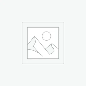 White+Wood Chair Design
